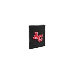 AMERICAN Diary 12X17 1D/P