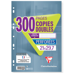 CLAIREFONTAINE Copies Doubles Blanches Perforées A4 90g 300 Pages 5x5 avec Marge