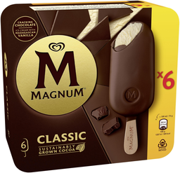 MAGNUM Bâtonnets glacés MAGNUN Classic vanille/chocolat - x6 450g