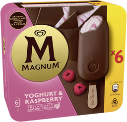 LANGNESE multipack magnum yoghurt & raspberry 6X100ml