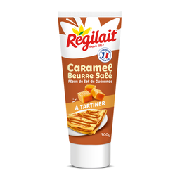 REGILAIT Caramel au beurre salé et fleur de sel de Guérande tubede 300