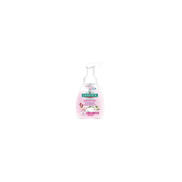 SANYTOL Disinfecting Foaming Soap 250 ml