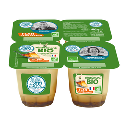 LES 300 LAITIERS BIO Pudim com caramelo 4 pots de 115 g