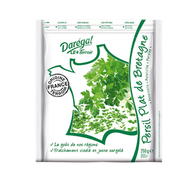 DAREGAL Salsa congelada 250 g
