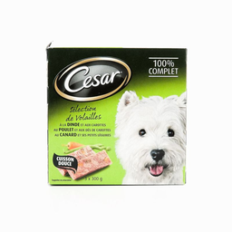 CESAR Patee Volailles 3x300 g