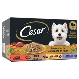 CESAR Pâtée Pour Chien Adulte Volaille Boeuf Dinde Agneau Sauce Recettes De Campagne