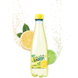 BADOIT Sparkling flavored water lemon lime touch 40 cl
