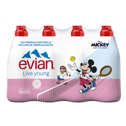 EVIAN Natural spring water still 12 x 33 cl