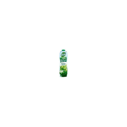 TEISSEIRE menthe vrt mega 1L5