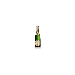 PERRIER jouet champagne grand brut ble 75cl+Etui
