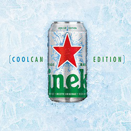 Heineken Biere Bld Bte 10X33Cl