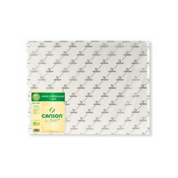 CANSON 5F Des Grain 50X65 180