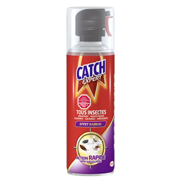 CATCH Insecticide Aérosol Tous Insectes Volants et Rampants