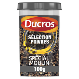 DUCROS Assaisonnement mélange spécial moulin