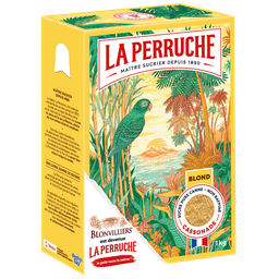 BEGHIN SAY Sucre Blond en Poudre BEGHIN SAY