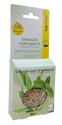 TOP FILTER Vacuum Cleaner Scented Granules Mint/Eucalyptus 4 sachets