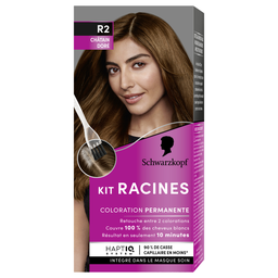 SOYANCE Kit racines coloration châtain doré R2 1 kit