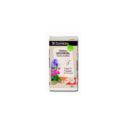 GIFFARD crème rose 16D 50cl