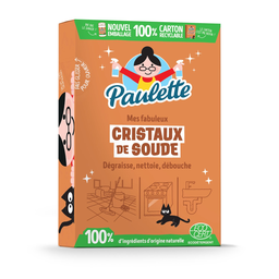 PAULETTE Cristaux de soude Multi-Usage 500 g