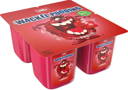 MÜLLER Wackelpudding Typ Himbeere 4 x 125 g