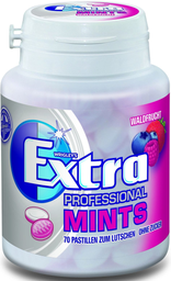 EXTRA Wrigley professional mints waldfrucht dose, 70 pastillen 77g