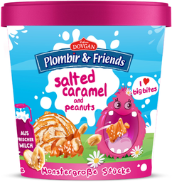 PLOMBIR & friends salted caramel & peanuts 400ml, 8 pcs