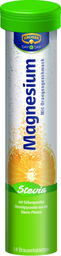 KRÜGER day by day magnesium 14Er 78.4g