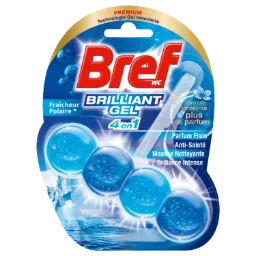 BREF Bloc WC Brilliant Gel Fraîcheur Polaire 42 g
