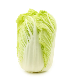 CHOU Chinese Cabbage 1 piece