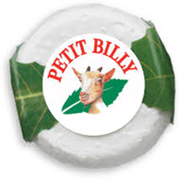 PETIT BILLY Queso de cabra afinado 21% MG 150 g