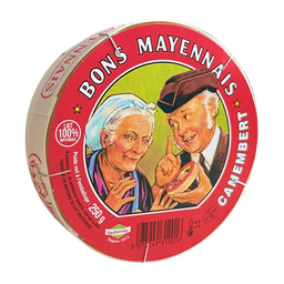 BONS MAYENNAIS Camembert Au Lait Pasteurisé BONS MAYENNAIS