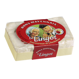 BONS MAYENNAIS Lingot petit camembert lait pasteurisé 28% MG 180 g