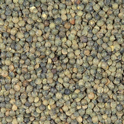 LEGUMOR lentille verte import 10kg