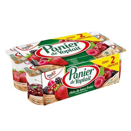YOPLAIT Y.Fr.Rge X8 Dt 2 g