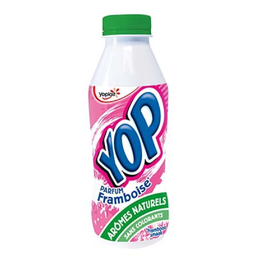 YOPLAIT saveur framboise 500 g