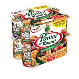 YOPLAIT Yaourt Panier Panache 12 x 125 g