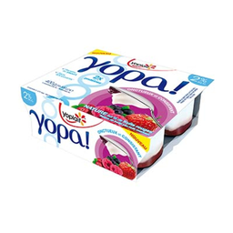 YOPLAIT Spécialité Laitière Yopa Sur Lit De Fruits Rouges 4 x 100 g