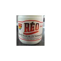 REO crème fraîche 42% pot 40cl