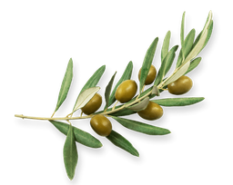 TROPIC APERO Cocktail d'olives 150 g