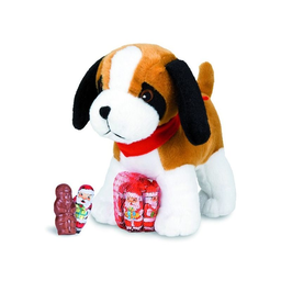 FIZZY Box 40 Saint Bernard 55 g