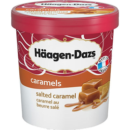 HAAGEN-DAZS Salted Caramel Ice Cream 430 g