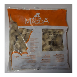 MAGDA Setas Ostra Enteras 1 kg