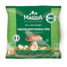 MAGDA Organic Porcini Mushroom Pieces 300 g