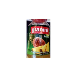GRANINI Pet 'Ananas 1