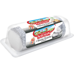 SOIGNON Fromage Bûche de Chèvre Cendrée 19% MG
